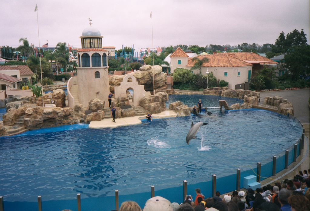 20010527_Whale_and_Dolphin_Show_Dolphin_Sea_World_San_Diego_008_5A