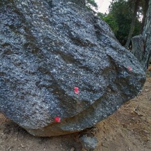 Stone with red dot marking hiking trail